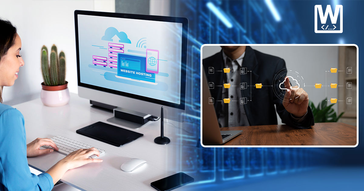 professionals-working-on-web-hosting-migration